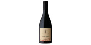 Insurgente Premium 2017 Vino Rosso