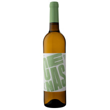 Cenas Escolha 2019 Blanca Blanca