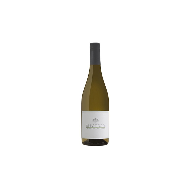 Vino Blanco Allgodão 2018 Vino Blanco Allgodão 2018