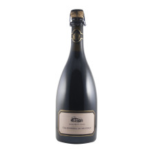 Casa Senhorial do Reguengo Extra Bruto Sparkling Red Wine