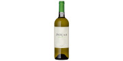 Poças 2020 Weißwein