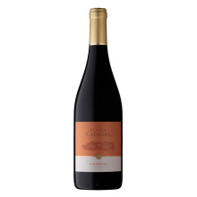 Casa Cadaval 2017 punainen viini