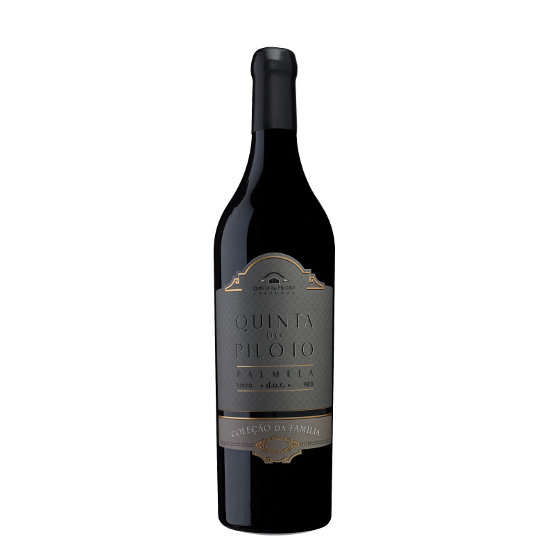 Quinta do Piloto 2013 Punainen viini Quinta do Piloto 2013 Punainen viini