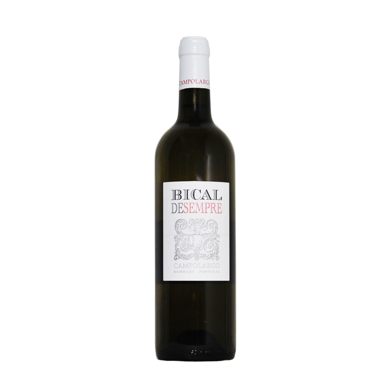 Campolargo Bical de Sempre 2017 Vino bianco Campolargo Bical de Sempre 2017 Vino bianco