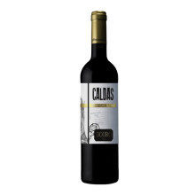 Caldas Vinhas Velhas 2015 punaviini
