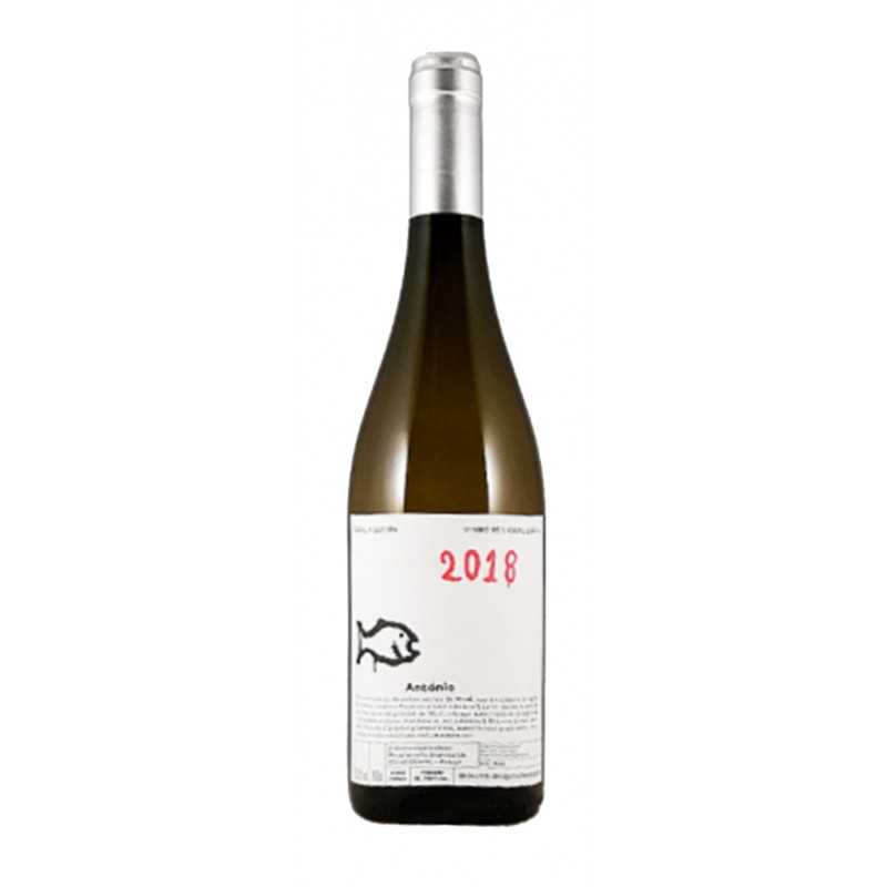 Casal Figueira António 2019 hvid vin