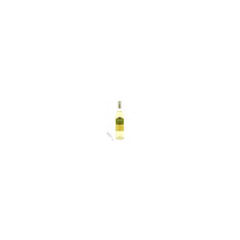 Quinta da Alorna 2019 White Wine Quinta da Alorna 2019 White Wine