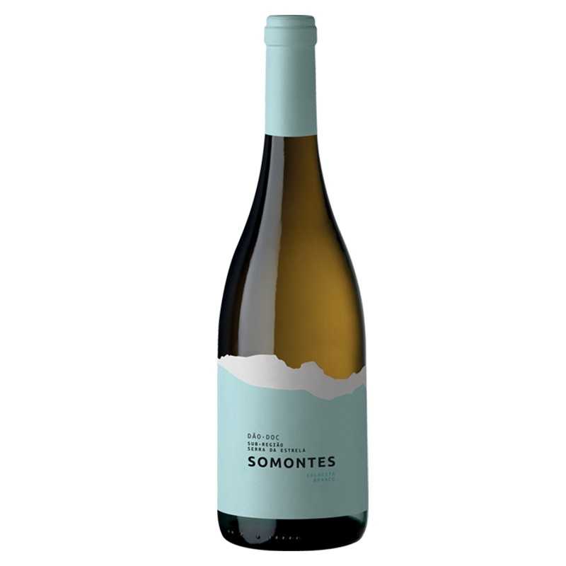 Somontes 2020 White Wine