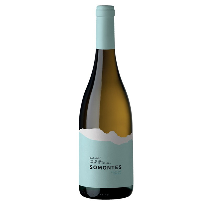 Vino Blanco Somontes 2020 Vino Blanco Somontes 2020