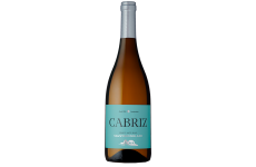 Cabriz Sauvignon Blanc 2019 White Wine
