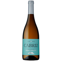 Cabriz Sauvignon Blanc 2019 Vin Blanc
