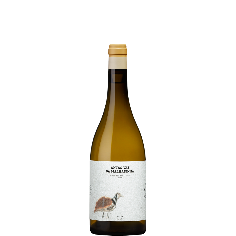 Antão Vaz da Malhadinha - Vinha dos Eucaliptos 2020 Vino Blanco