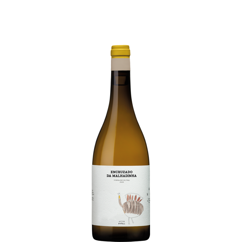 Encruzado da Malhadinha - Vinha da Olival 2020 Vino Bianco Encruzado da Malhadinha - Vinha da Olival 2020 Vino Bianco