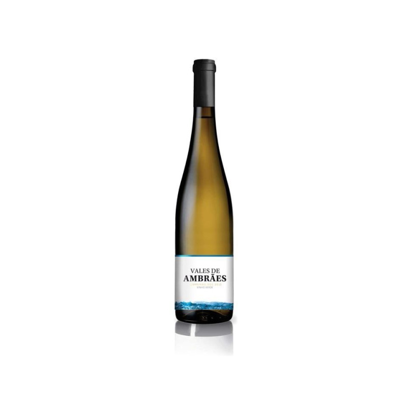Vale de Ambrães Alvarinho 2015 Vin Blanc Vale de Ambrães Alvarinho 2015 Vin Blanc