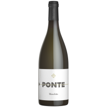 Ponte Mouchão 2022 Weißwein, Verdelho, Alentejo Ikone