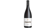 Ponte Mouchão 2021 Red Wine