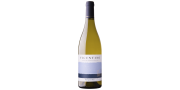 Vicentino Sauvignon Blanc 2019 Vino Bianco