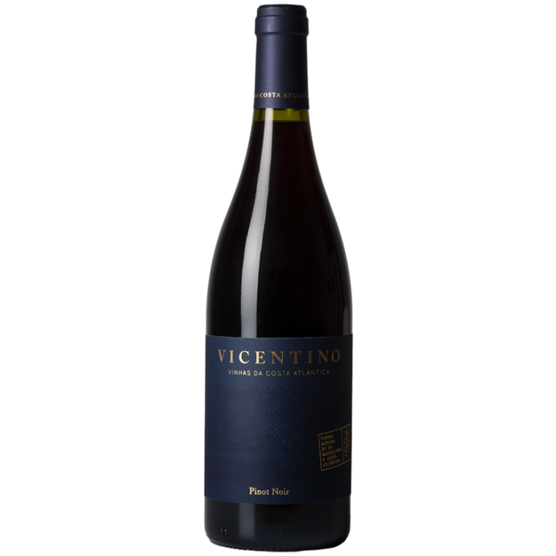 Vicentino Pinot Noir 2019 Red Wine