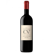 CV - Curriculum Vitae 2018 Vino Tinto