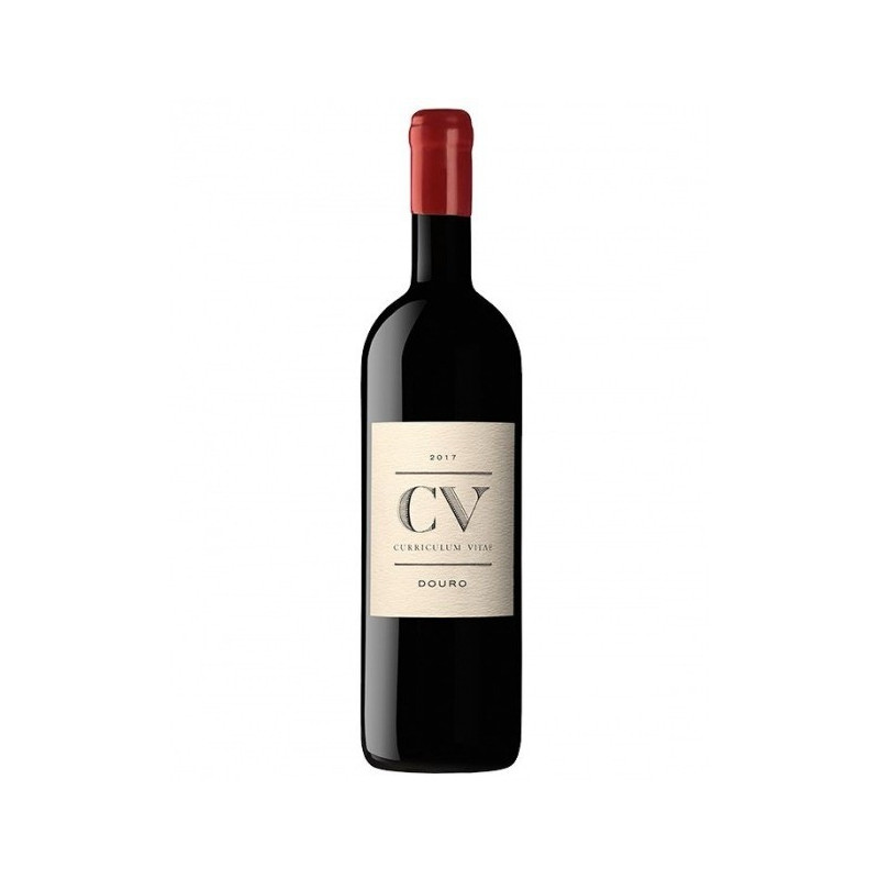 CV - Curriculum Vitae 2018 Vino Tinto CV - Curriculum Vitae 2018 Vino Tinto