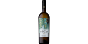 Quinta São Gião Vrije wijn 2020