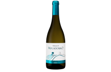 Terras do Mogadouro 2018 White Wine