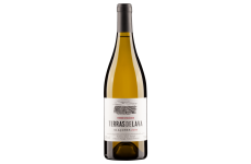 Pico Wines Terras de Lava 2019 White Wine