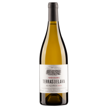 Pico Wines Terras de Lava 2022 Vino Bianco