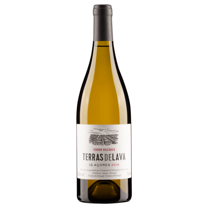 Pico Wines Terras de Lava 2022 Vino Bianco Pico Wines Terras de Lava 2022 Vino Bianco