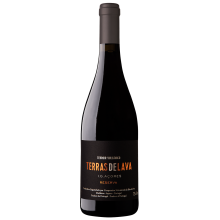Pico Wines Terras de Lava Reserva 2020 Vino rosso