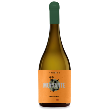 Moinante Curtimenta 2020 Weißwein
