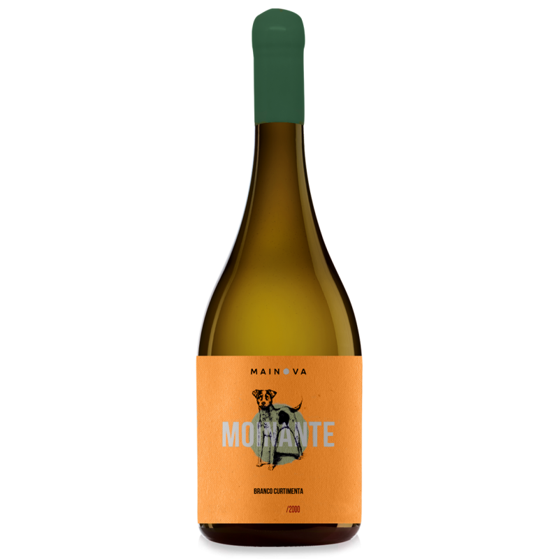 Moinante Curtimenta 2020 Weißwein Moinante Curtimenta 2020 Weißwein