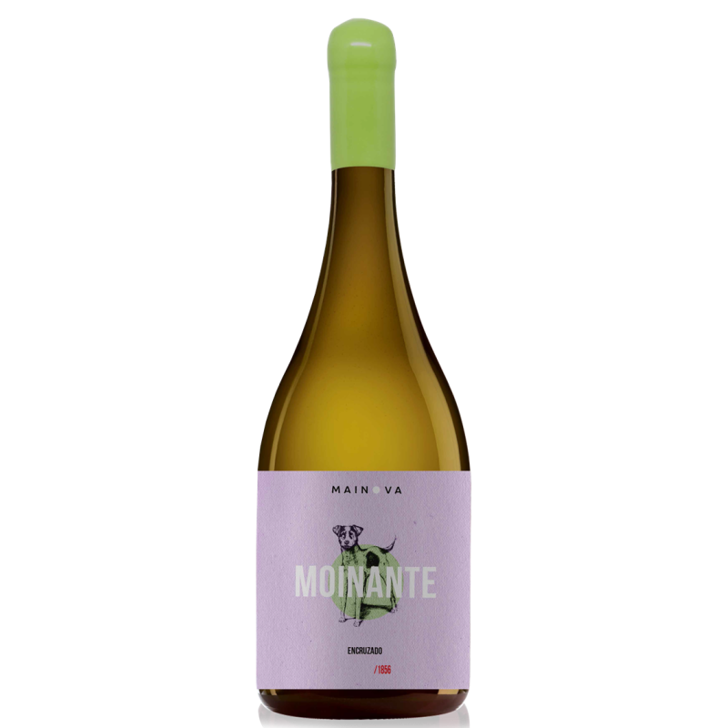 Vino Blanco Moinante Encruzado 2020 Vino Blanco Moinante Encruzado 2020