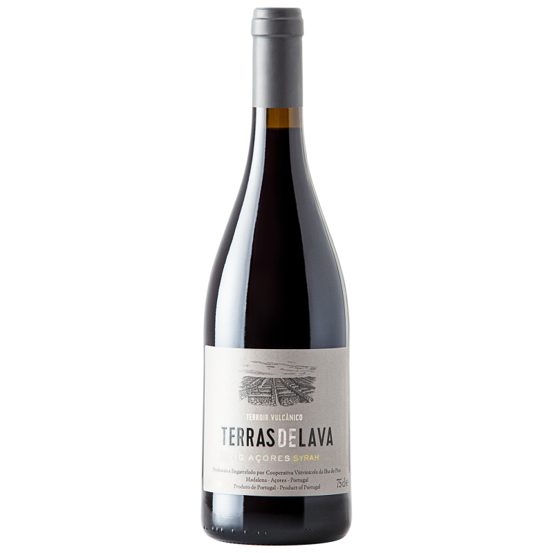 Pico Wines Terras De Lava Syrah 2019 Vino Rosso