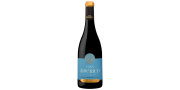 Casa Américo Touriga Nacional 2015 Red Wine