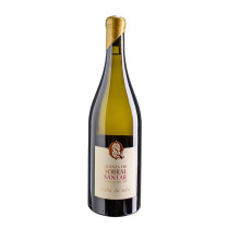 Quinta do Sobral Santar Vinha da Neta 2019 hvidt vin