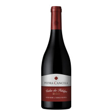 Pedra Cancela Vinha da Fidalga 2018Rotwein