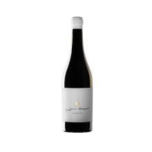 Grau Baumé 2017 vino blanco