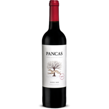 Pancas 2019 Rotwein