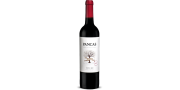 Pancas 2019 Red Wine