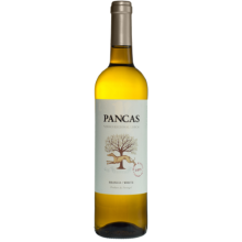 Pancas 2019 White Wine