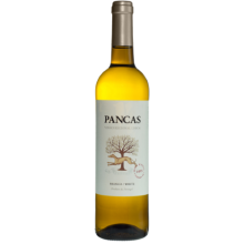 Pancas 2020 Vin Blanc