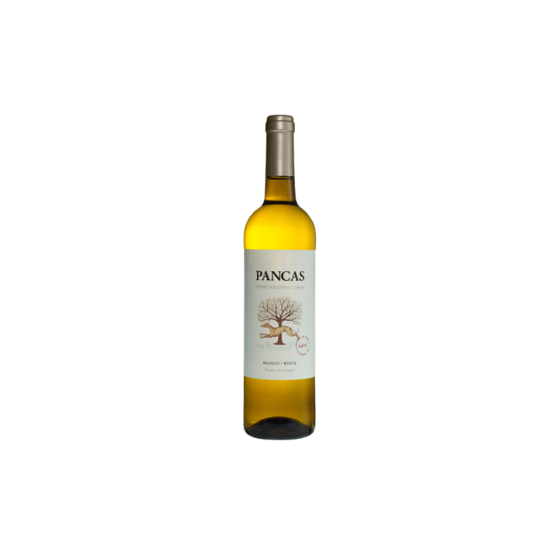 Pancas 2020 White Wine