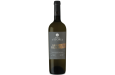 Casa de Santa Vitoria Grande Reserva 2019 White Wine