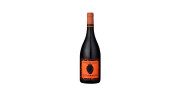 Astronauta Vinho da Talha 2018 Red Wine