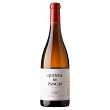 Quinta de Pancas Reserva Vital 2019 Witte Wijn