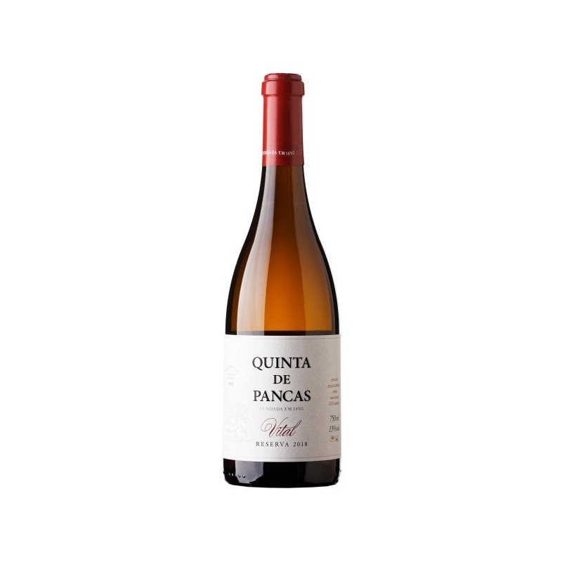 Quinta de Pancas Reserva Vital 2019 Vino Blanco Quinta de Pancas Reserva Vital 2019 Vino Blanco