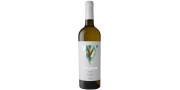 Vallegre Vegan 2020 Vino bianco