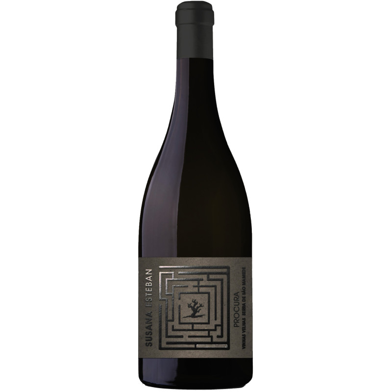 Procura 2019 Vino tinto Procura 2019 Vino tinto