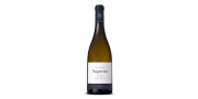 Quinta Nogueira Reserva 2017 valkoviini